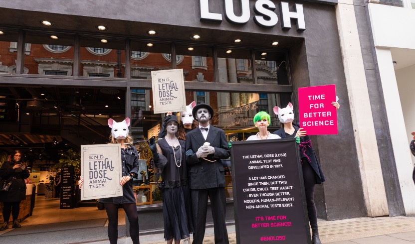 Lush differentiates itself through its handmade products, ethical sourcing, and activism.