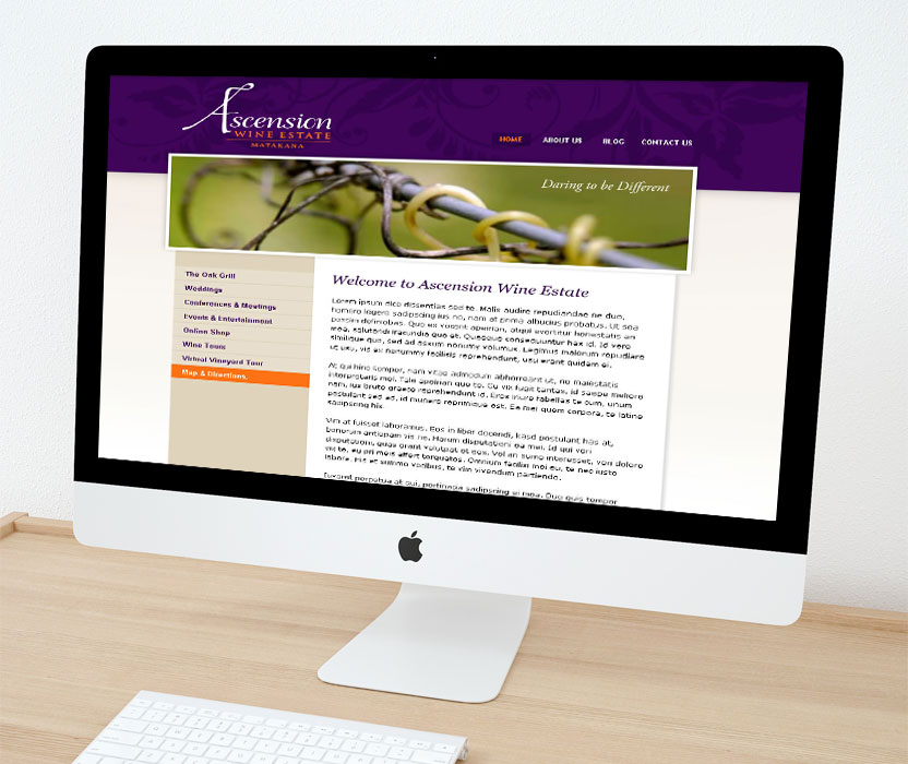 Evolve Marketing Agency client example - Ascension website