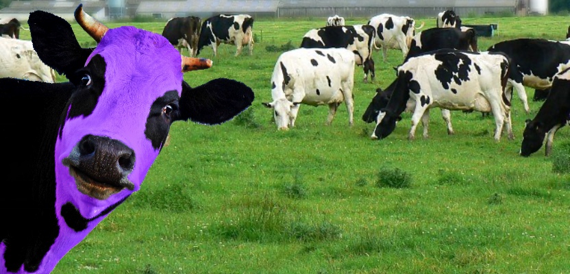 Seth Godin wrote about brand differentiation in his book, "Purple Cow: Transform Your Business by Being Remarkable".