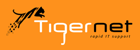 Branding: Tigernet positioning strategy, tagline development, logo design